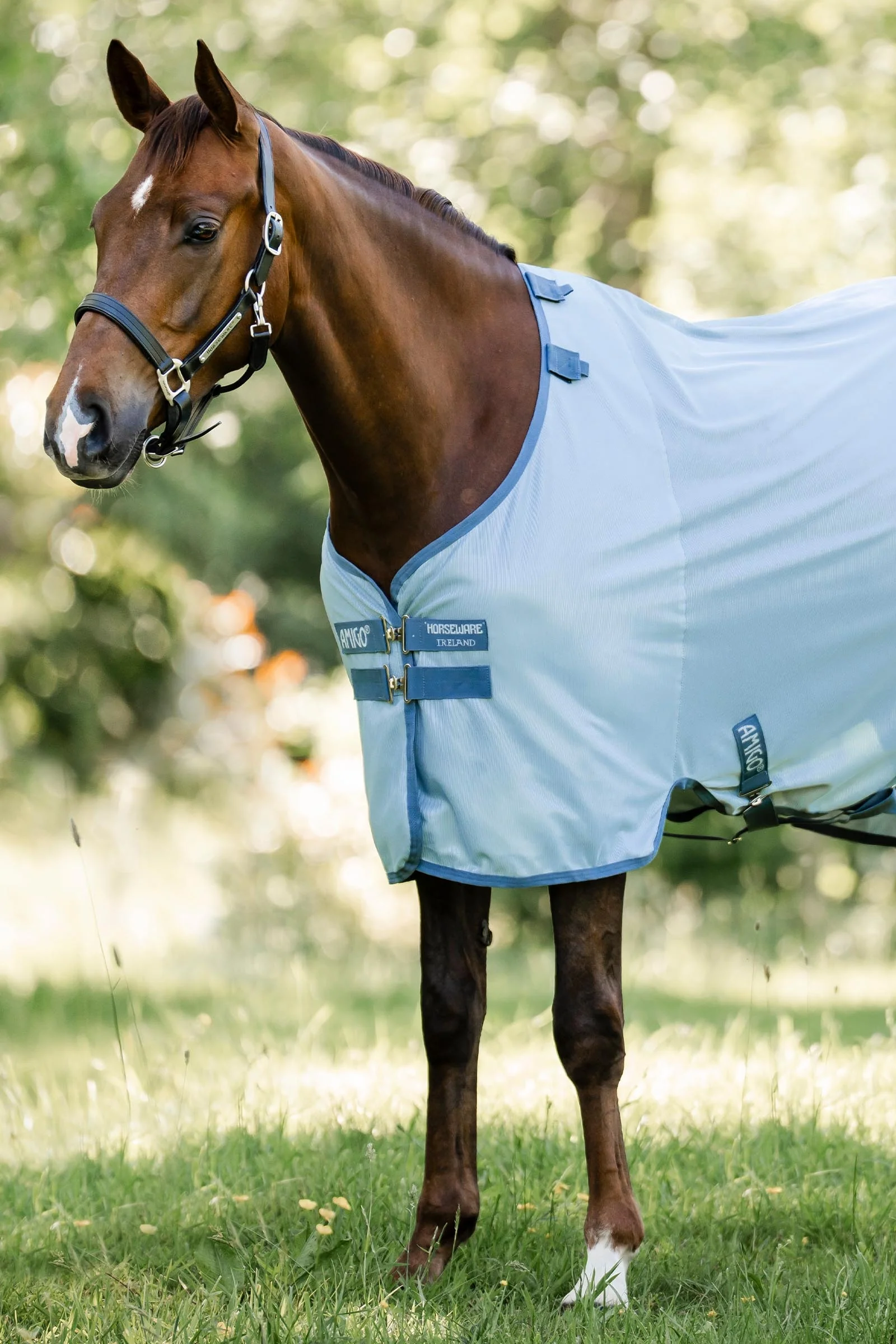 Amigo fluedekken med UV-beskyttelse Heather Blue/Blue & Silver 130