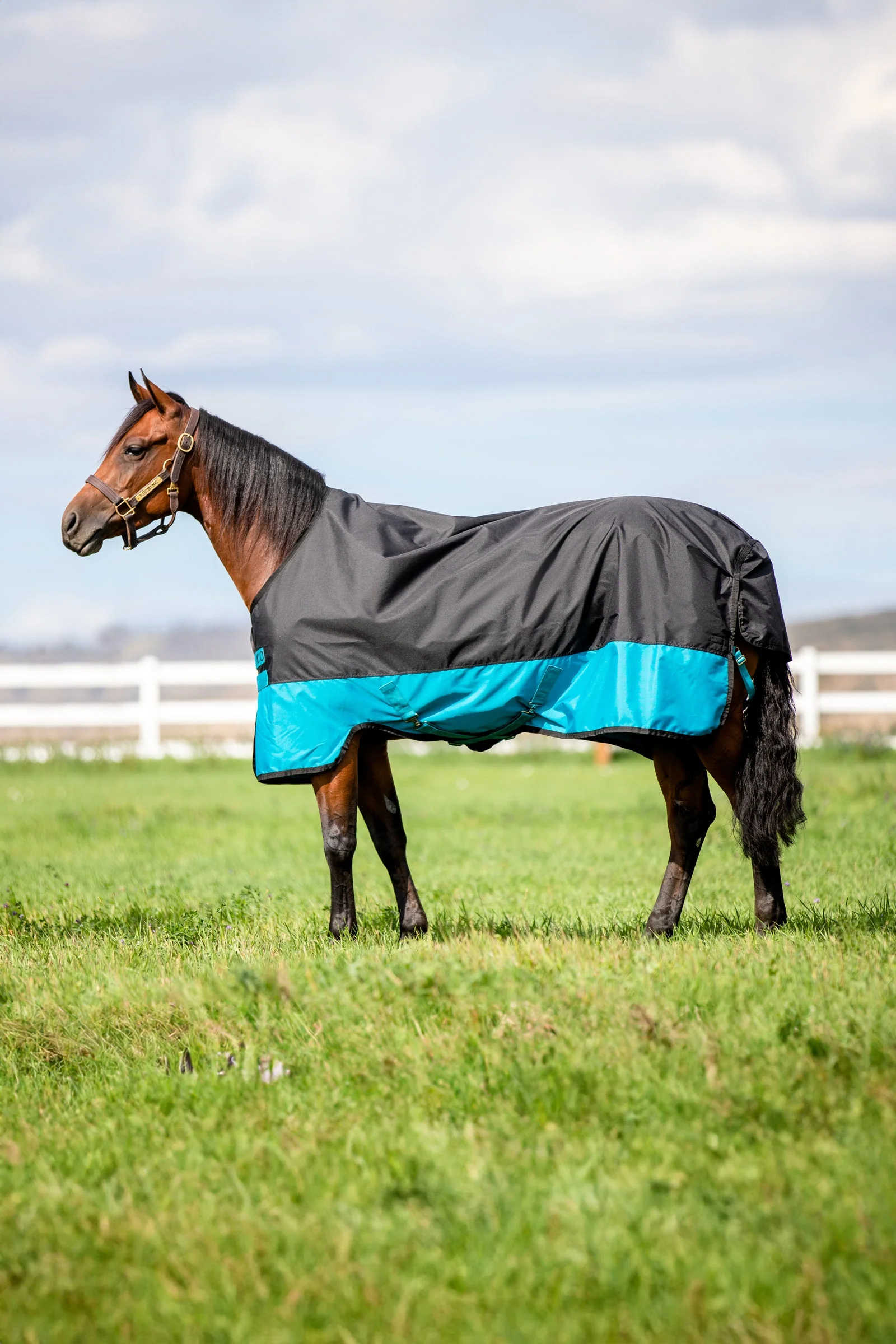 Mio utedekken, 200 g Black/Turquoise Blue 75
