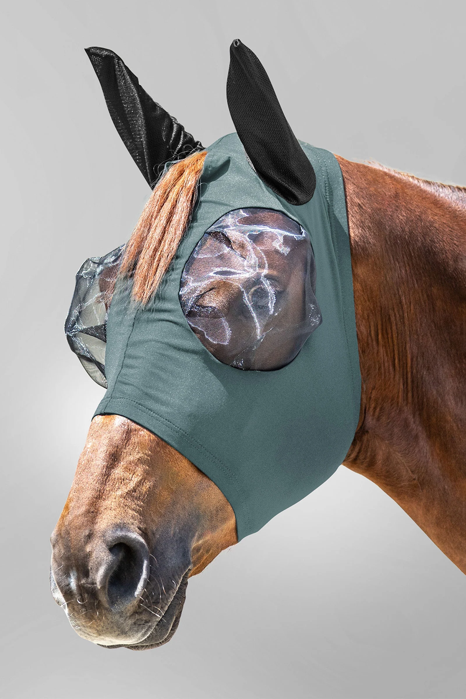 Puck fluemaske med glidelÄs og UV-beskyttelse Pine Green P