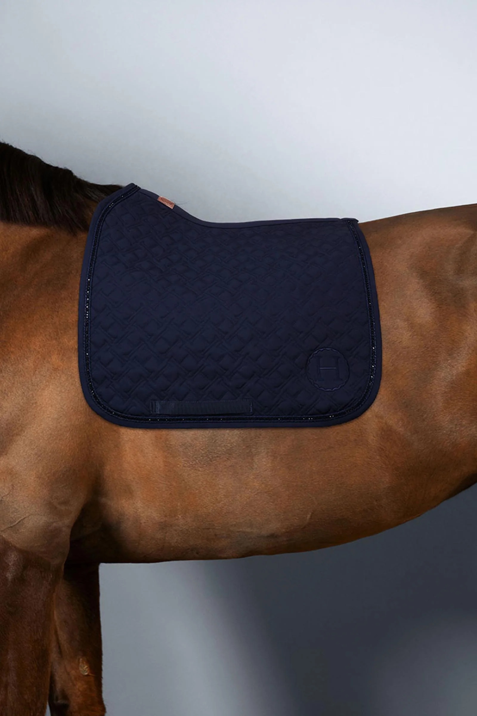 Saphir dressursjabrak Marine (Navy) F