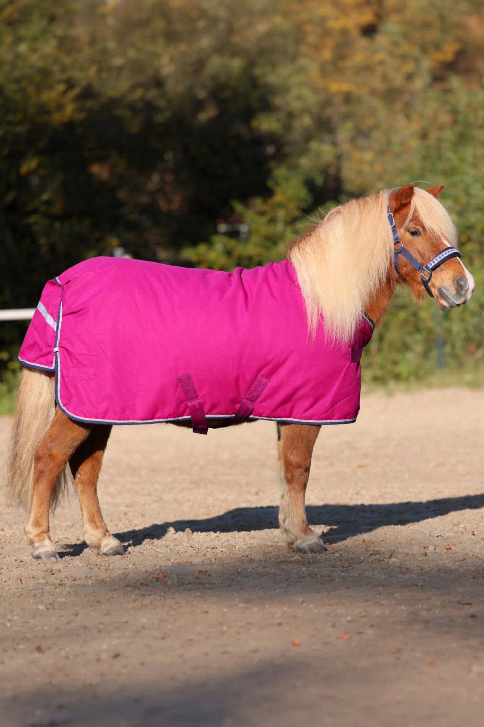 Shetty utedekken, 100 g Pink/Navy-Pink 90