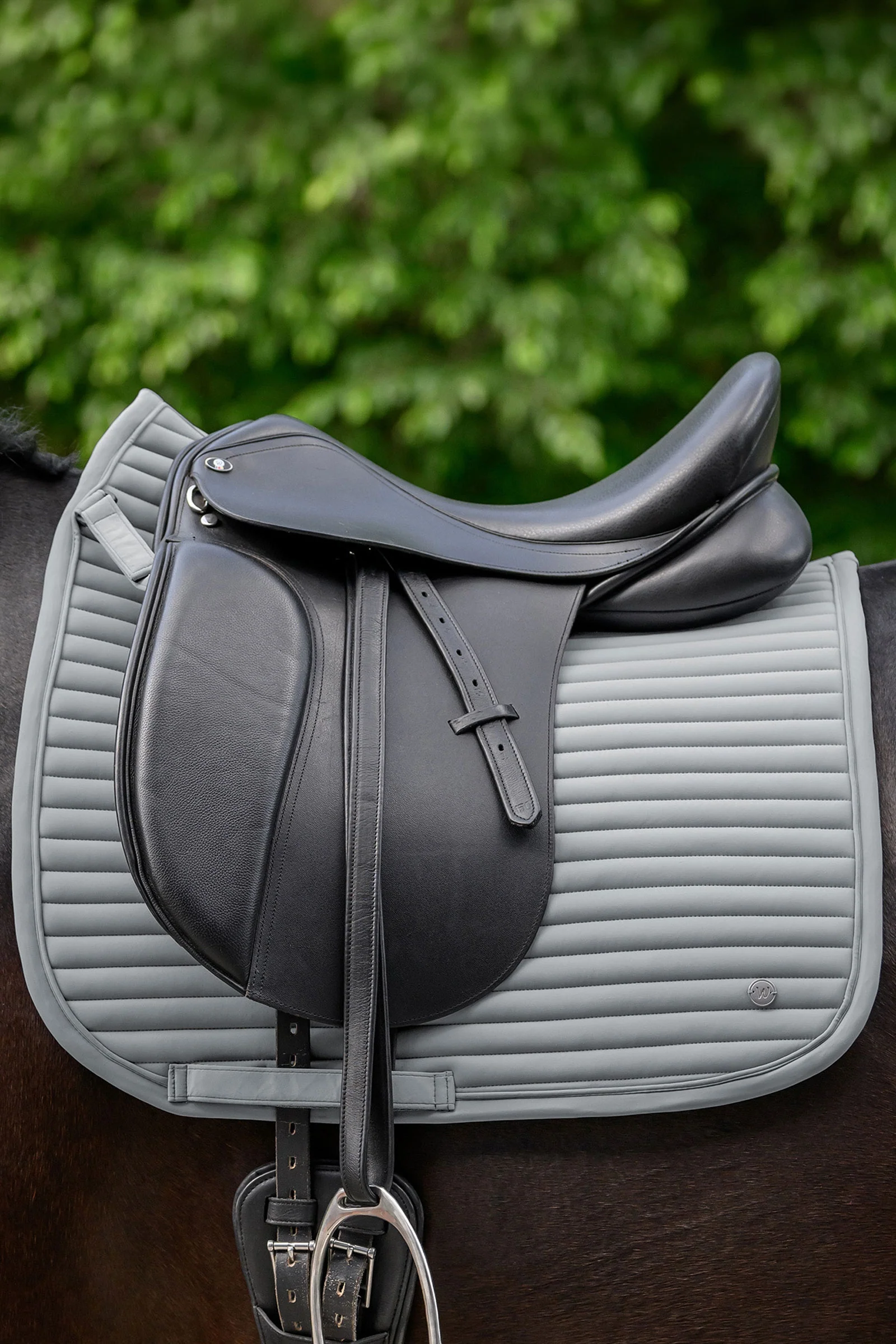 Trinidad dressursjabrak Chrome Grey F